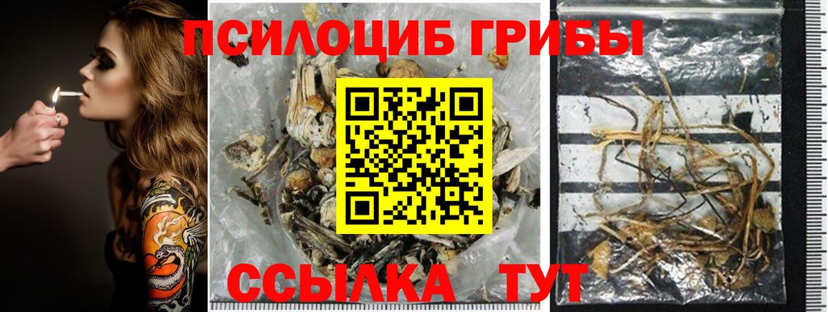 Псилоцибиновые грибы GOLDEN TEACHER  Вход с VPN  Кимры 