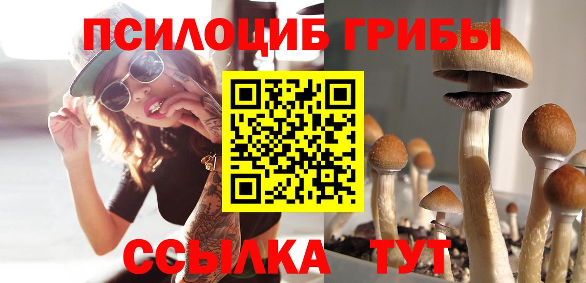 Псилоцибиновые грибы прущие грибы Кимры